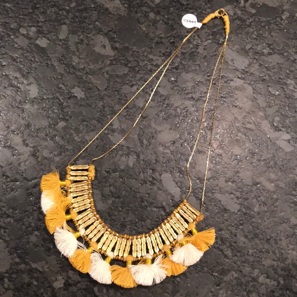 NWT BEAUTIFUL Fringed Necklace